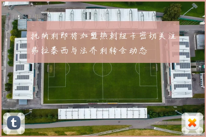 托纳利即将加盟热刺纽卡密切关注弗拉泰西与法乔利转会动态