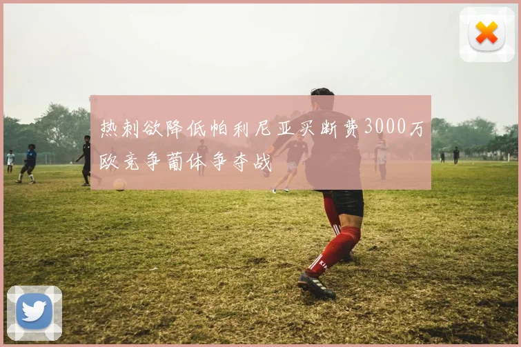 热刺欲降低帕利尼亚买断费3000万欧竞争葡体争夺战